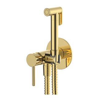 Zestaw bidetowy punktowy Omnires Y, podtynkowy, 1-funkcyjny, złoty