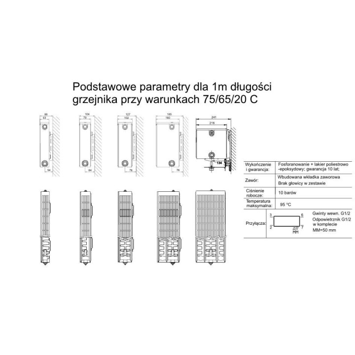 Grzejnik Enix Plain Art Vertical (VS) typ 22 70x220 cm - biały- sanitbuy.pl