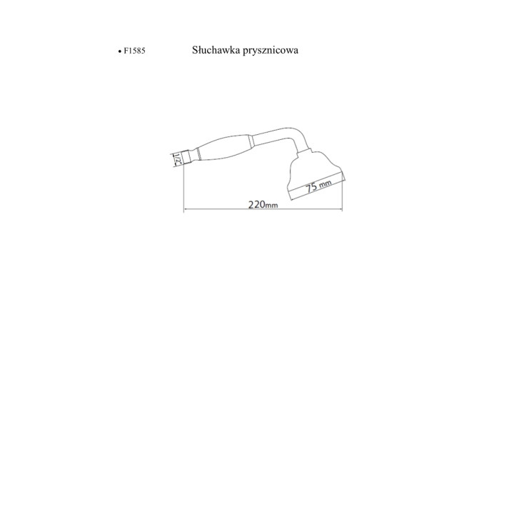 Słuchawka prysznicowa Giulini G. Parigi- sanitbuy.pl