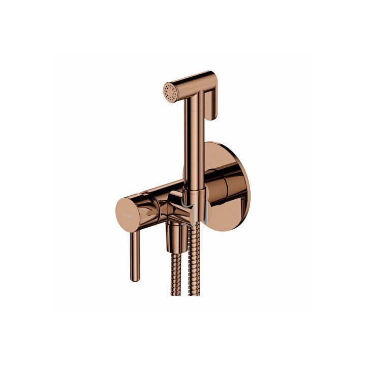 Zestaw bidetowy punktowy Omnires Y, podtynkowy, 1-funkcyjny, złoty szczotkowany