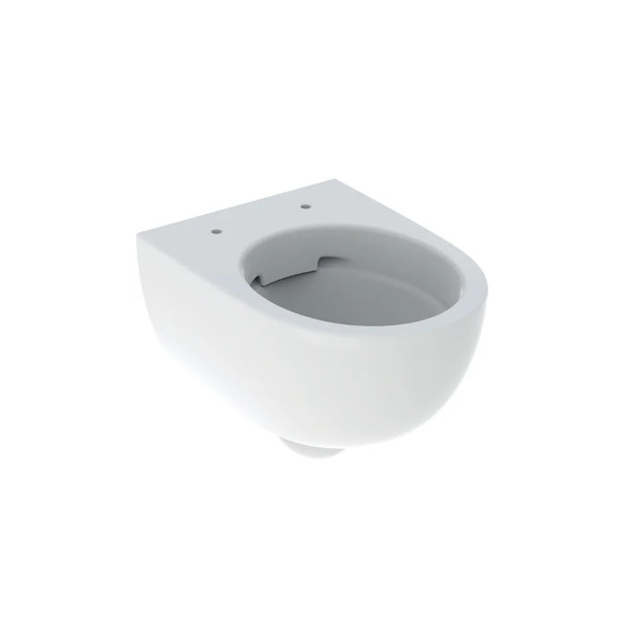 Geberit Selnova Compact Wisząca miska WC, lejowa, B35.5cm, H33cm, T49cm, krótka, ukryte mocowania, Rimfree