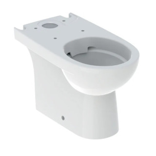Geberit Selnova Stojąca miska WC do spłuczki nasadzanej, lejowa, B35.5cm, H40cm, T66cm, częściowo ukryte mocowania, odpływ uniwe