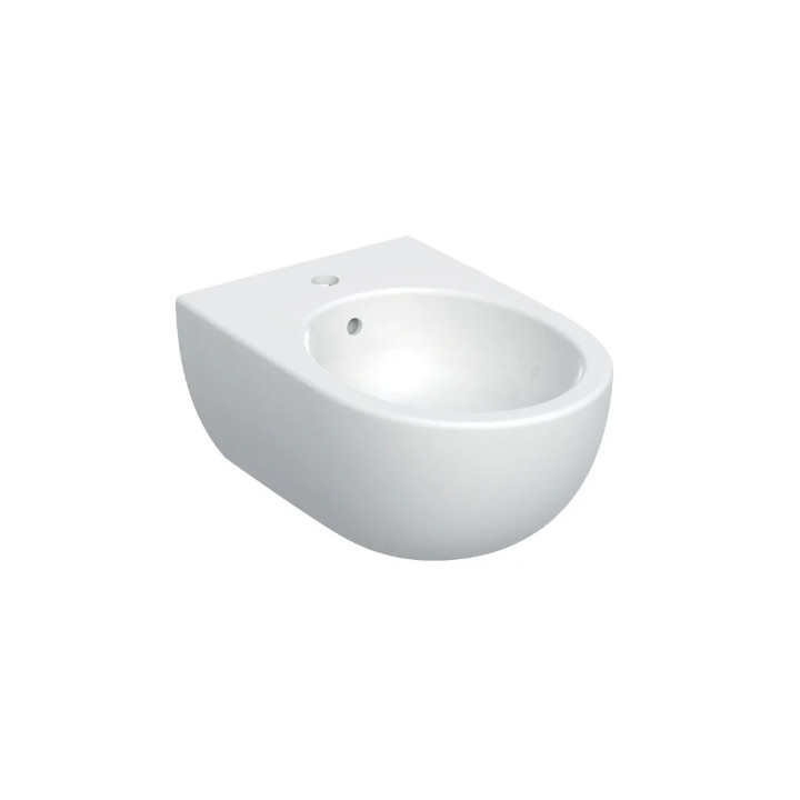 Geberit Selnova Bidet wiszący, B36cm, H26cm, T53cm, ukryte mocowania, z przelewem, z otworem na baterię