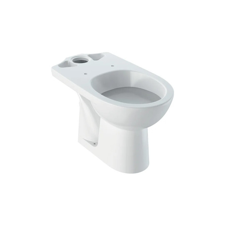 Geberit Selnova Stojąca miska WC do spłuczki nasadzanej, lejowa, B36cm, H39cm, T67cm, odpływ poziomy