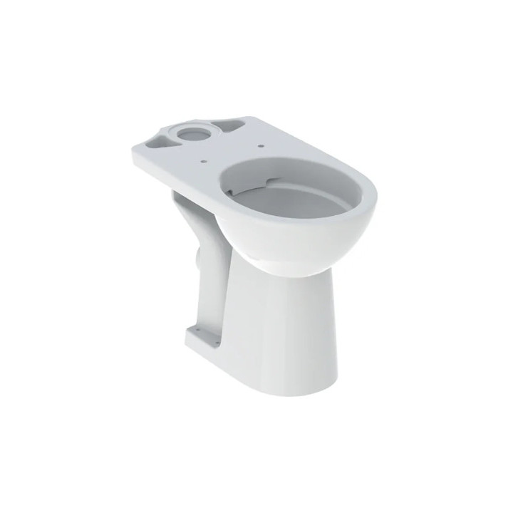 Geberit Selnova Comfort Stojąca miska WC do spłuczki nasadzanej, lejowa, B35.5cm, H46cm, T65.5cm, podwyższona, odpływ poziomy, R