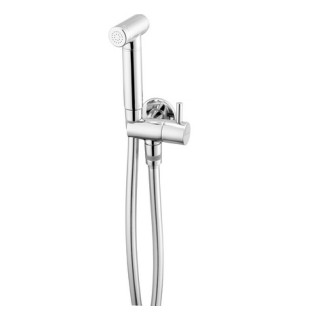 Zestaw bidetta punktowy , Deante Bidetta, chrom