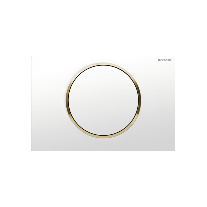 Przycisk Geberit Sigma 10 uruchamiający przedni do spłuczek podtynkowych UP320- sanitbuy.pl