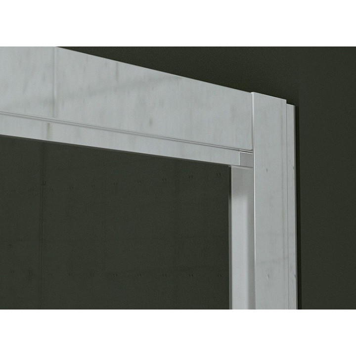 Drzwi jednoczęściowe SanSwiss TOP-LINE TOPP szer. 600 - 800 mm, wys. do 1900 mm, srebrny mat, przezroczyste- sanitbuy.pl