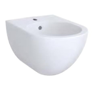 Mísa ustępowa Geberit Acanto závěsná 51x35 cm, skryté mocowania, Rimfree - bílá