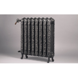 Radiátor Terma Angus Horizontal 60x162 cm - bílá/ barva