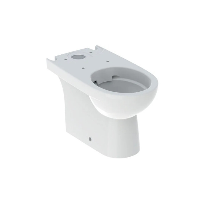 Geberit Selnova Stojící mísa WC do spłuczki nasadzanej, s hlubokým splachováním, B35.5cm, H40cm, T66cm, částečně skryté mocowani