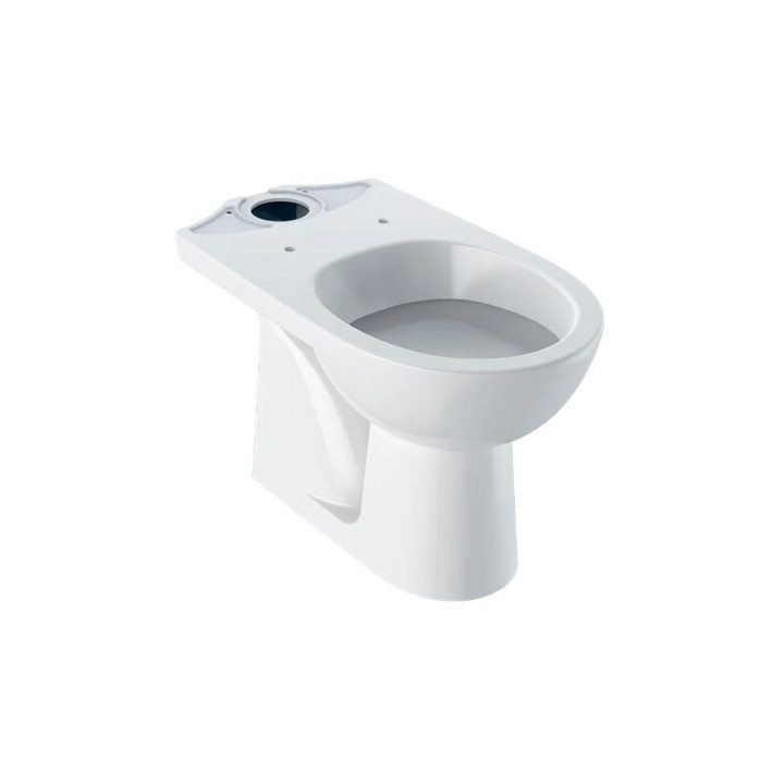 Geberit Selnova Stojící mísa WC do spłuczki nasadzanej, s hlubokým splachováním, B35.6cm, H39cm, T66.5cm, odtok vodorovný, Rimfr