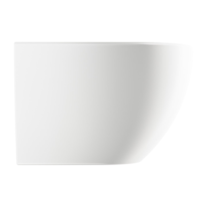 Závěsný bidet, 54x36,5 cm, Omnires Ottawa - Bílý matnáný