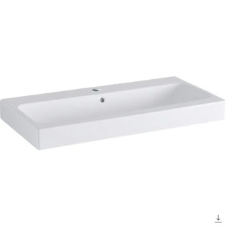 Umyvadlo pro postižené osoby 64x49cm  Geberit Paracelsus, bílá