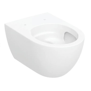 Mísa ustępowa Geberit Acanto závěsná 51x35 cm, skryté mocowania, Rimfree - bílá