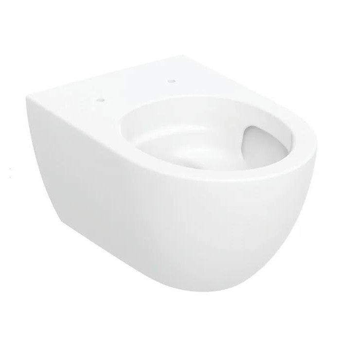 Mísa ustępowa Geberit Acanto závěsná 51x35 cm, skryté mocowania, Rimfree - bílá