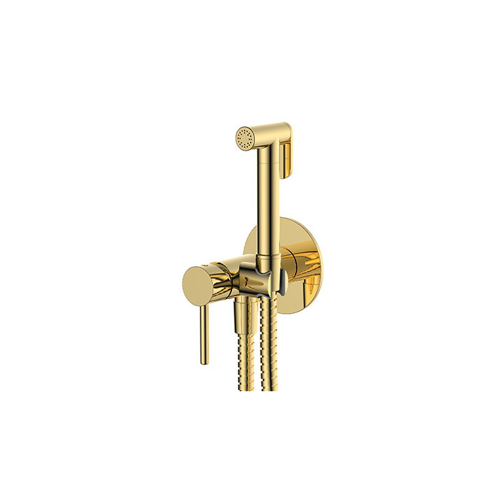 Set bidetowy punktowy Omnires Y, Unterputz, 1-funkcyjny, golden