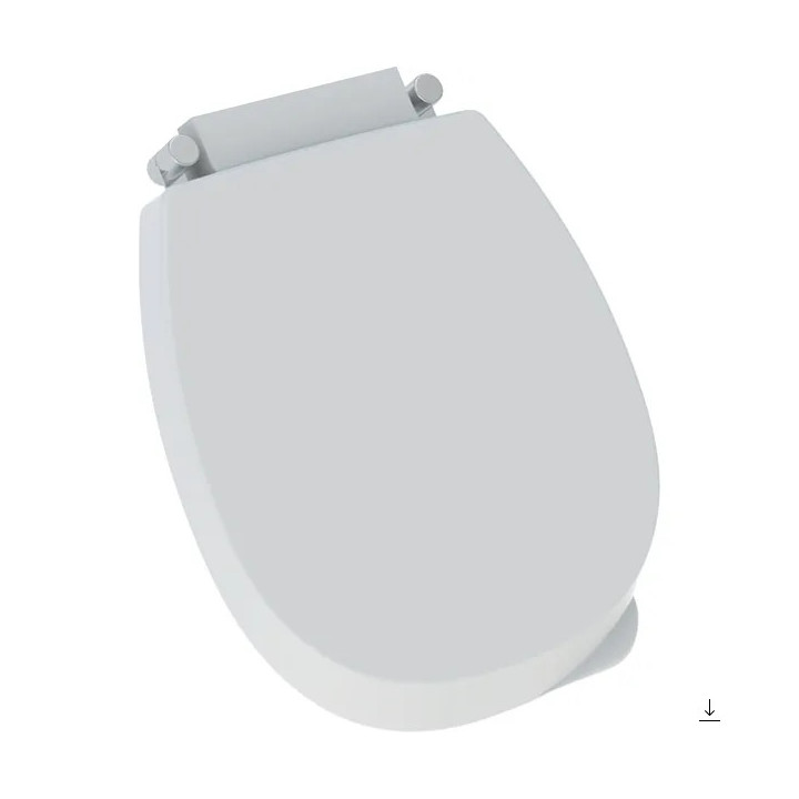 Urinal Geberit Flow,Zulauf von hinten, Abfluss do tyłu, weiß