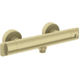 Brausearmatur thermostatisch, Deante, titanium