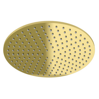 Horná sprcha Kohlman, okrúhla, 25cm, zlatý lesklá