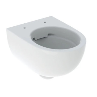 Geberit Selnova Závěsná misa WC, lievikový, B36cm, H33cm, T53cm, częściowo skryté mocowania, Rimfree